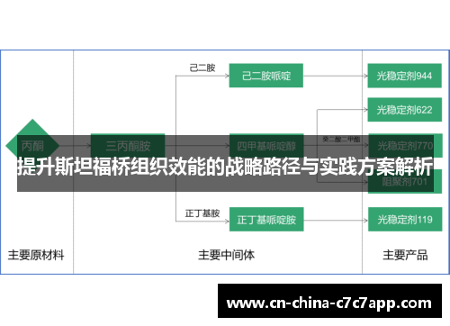 提升斯坦福桥组织效能的战略路径与实践方案解析 提升斯坦福桥组织效能的战略路径与实践方案解析