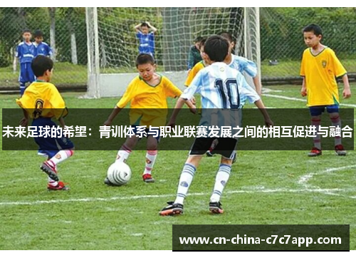 未来足球的希望:青训体系与职业联赛发展之间的相互促进与融合 未来足球的希望:青训体系与职业联赛发展之间的相互促进与融合