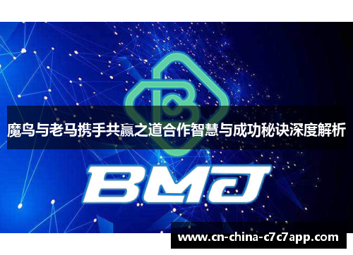 魔鸟与老马携手共赢之道合作智慧与成功秘诀深度解析